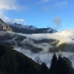 stimmung